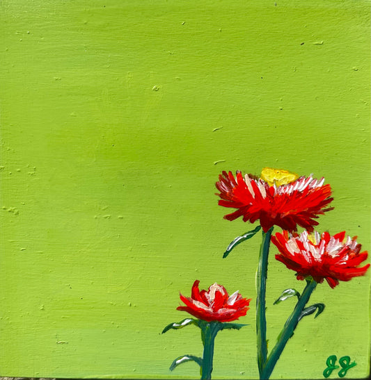 STRAWFLOWERS, Green, 6 x 6 x 1.75