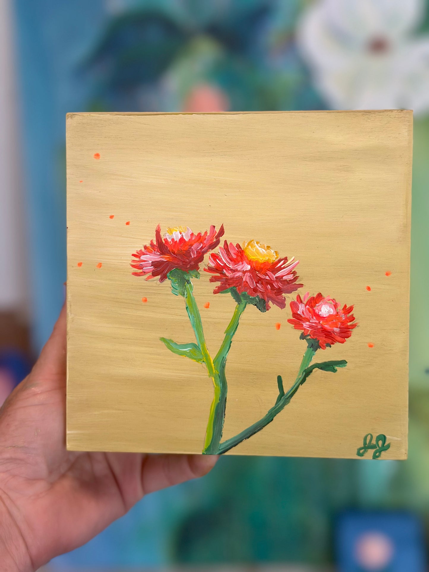 STRAWFLOWERS, Gold 6 x 6 x 1.75