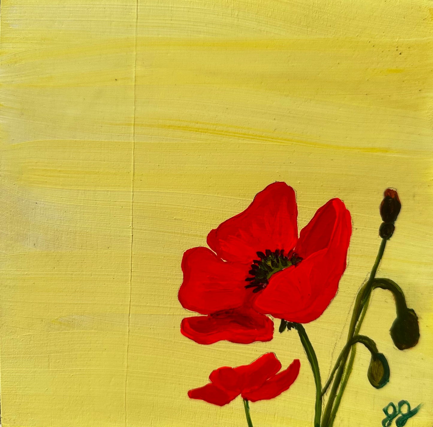 POPPY, 6 x 6 x 1.75