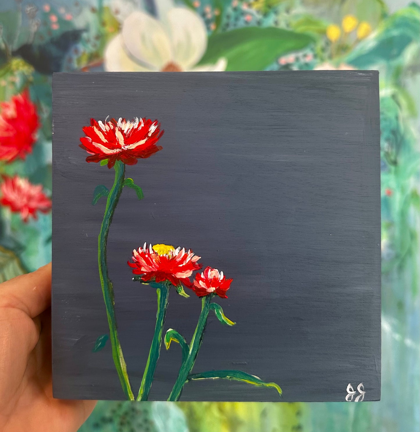 STRAWFLOWERS, Blue, 6 x 6 x 1.75