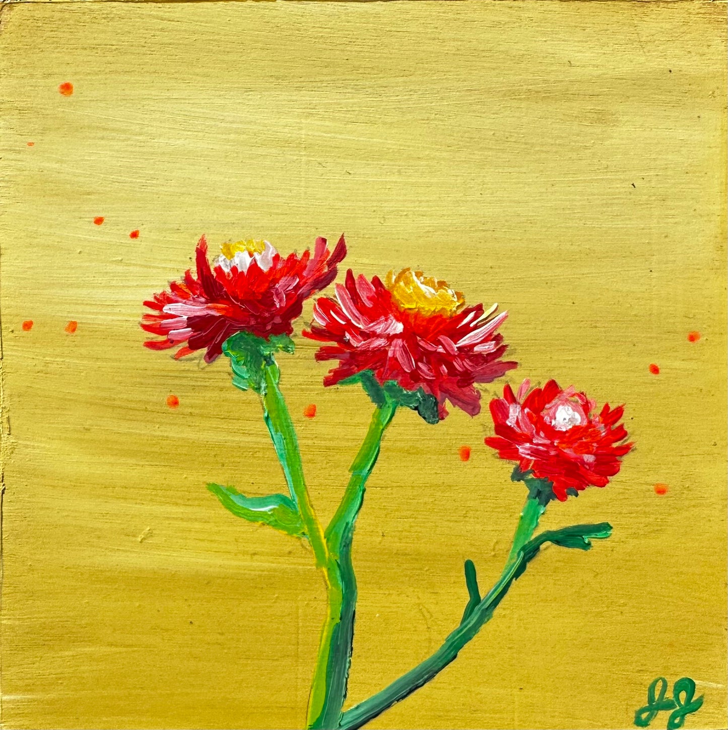 STRAWFLOWERS, Gold 6 x 6 x 1.75